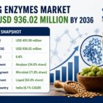 Brewing Enzymes Market Grows from USD 493.98 Million in 2026 to USD 936.02 Million by 2036 at 6.6% CAGR
