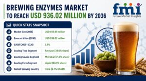 Brewing Enzymes Market Grows from USD 493.98 Million in 2026 to USD 936.02 Million by 2036 at 6.6% CAGR