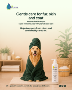 Plant-Based Hand Sanitizer: How It Works Without Alcohol