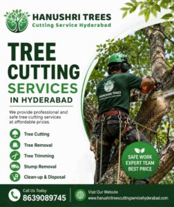 A Simple Guide to Managing Damaged and Overgrown Trees in Hyderabad 1 A Simple Guide to Managing Damaged and Overgrown Trees in Hyderabad
