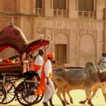Bikaner Rajasthan Viajes VIVA India