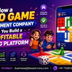 How a Ludo Game Development Company Helps You Build a Profitable Gaming Platform