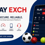Explore Play Exch for a Fast and Secure Digital Experience