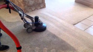 Why Cheap Carpet Cleaning Costs You More in the Long Run