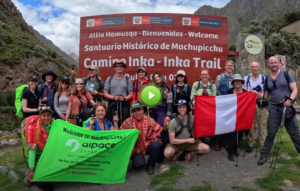 Discover the Best Alpaca Tours Peru for an Unforgettable Adventure