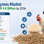 Feed Enzymes Market