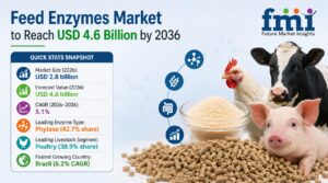 Global Feed Enzymes Market Grows from USD 2.8 Billion in 2026 to USD 4.6 Billion by 2036 at 5.1% CAGR