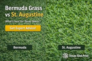 Professional Bermuda Sod Installation Cost Services Protect Your Property
