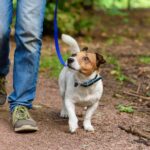 What Real Certification Means Before You Hire a Trainer