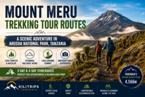 Mount Meru Trekking Tour Routes: The Tanzania Climb More Travelers Should Know About
