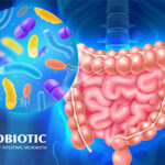 Probiotic Exporters in India: Delivering High-Quality Probiotic Solutions Worldwide 3 Probiotic Exporters in India: Delivering High-Quality Probiotic Solutions Worldwide