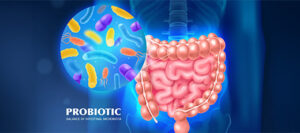 Probiotic Exporters in India: Delivering High-Quality Probiotic Solutions Worldwide