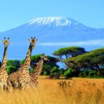 Exploring Tanzania’s Remote Islands Beyond Zanzibar