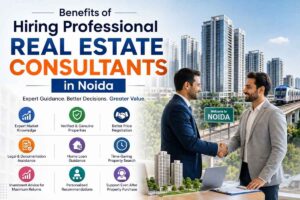 Benefits of Hiring Professional Real Estate Consultants in Noida