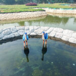 Outdoor Stone Walls453