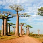 Exploring Madagascar’s Hidden Caves and Limestone Landscapes