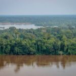 The Best Eco-Lodges in the Republic of the Congo for Sustainable Tourism 3 The Best Eco-Lodges in the Republic of the Congo for Sustainable Tourism