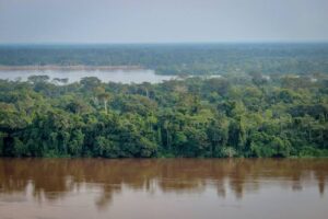 The Best Eco-Lodges in the Republic of the Congo for Sustainable Tourism 1 The Best Eco-Lodges in the Republic of the Congo for Sustainable Tourism