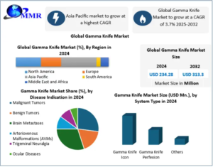 Gamma Knife Market Investment Opportunities Driven by Advanced Cancer Care Solutions 2032
