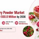 Lingonberry Powder Market to Reach USD 550.0 Million by 2036