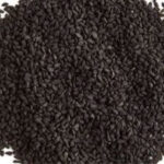 Bulk Nigella Seed Supply Made Easy with Patel Services Pty Ltd