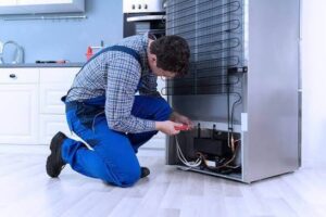 Top Refrigerator Problems That Require Professional Repair 1 Top Refrigerator Problems That Require Professional Repair