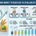 Customized Premix Market