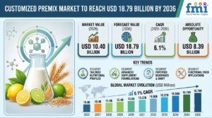 Customized Premix Market to Reach USD 18.79 Billion by 2036