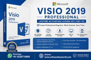 Microsoft Visio 2019 Professional – The Ultimate Diagramming Solution for Businesses