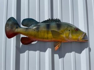 Create a Stunning Fish Mount Replica With Expert Craftsmanship