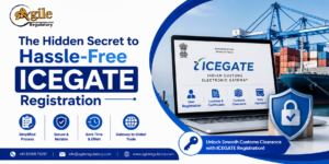 The Hidden Secret to Hassle-Free ICEGATE Registration 1 The Hidden Secret to Hassle-Free ICEGATE Registration