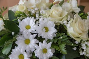 Best Florist in Howrah Send Fresh Flower Delivery with Same Day Service and 25% OFF 1 Best Florist in Howrah Send Fresh Flower Delivery with Same Day Service and 25% OFF