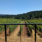 The Evolution of Wine Tourism: How Regenerative Organic Estates Are Elevating Hospitality 3 The Evolution of Wine Tourism: How Regenerative Organic Estates Are Elevating Hospitality
