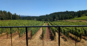 The Evolution of Wine Tourism: How Regenerative Organic Estates Are Elevating Hospitality 1 The Evolution of Wine Tourism: How Regenerative Organic Estates Are Elevating Hospitality