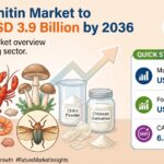 Chitin Market