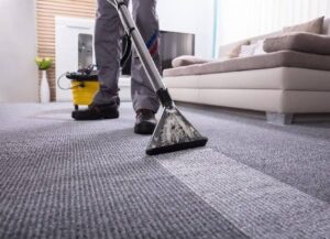 Professional Carpet Cleaning Services for a Cleaner Home