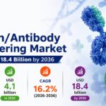 ProteinAntibody Engineering Market
