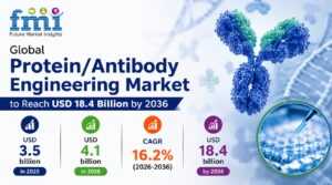 Global Protein/Antibody Engineering Market to Reach USD 18.4 Billion by 2036 1 Global Protein/Antibody Engineering Market to Reach USD 18.4 Billion by 2036