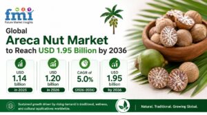 Global Areca Nut Market to Reach USD 1.95 Billion by 2036 1 Global Areca Nut Market to Reach USD 1.95 Billion by 2036