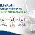 Acidity Regulator Market