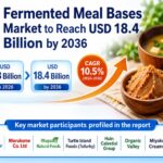 Fermented Meal Bases Market