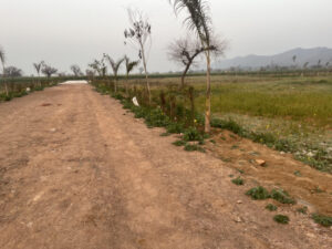 Is Agricultural Land for Sale in Sohna Worth Buying? Everything You Need to Know 1 Is Agricultural Land for Sale in Sohna Worth Buying? Everything You Need to Know