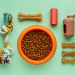 top view pet accessories 23 2150930406 1