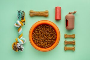 How Smarter Accessories and Responsible Care Are Influencing Malaysia’s Pet Lifestyle 1 How Smarter Accessories and Responsible Care Are Influencing Malaysia’s Pet Lifestyle