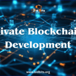 Private Blockchain Development 1 optimized 350
