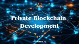 How Private Blockchain Development Uses Permissioned Architecture