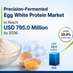 Precision Fermented Egg White Protein Market
