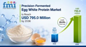 Precision-Fermented Egg White Protein Market to Reach USD 795.0 Million by 2036 1 Precision-Fermented Egg White Protein Market to Reach USD 795.0 Million by 2036