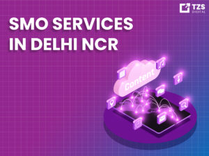 SMO Services in Delhi NCR: Build a Stronger Social Media Presence with TZS Digital 1 SMO Services in Delhi NCR: Build a Stronger Social Media Presence with TZS Digital
