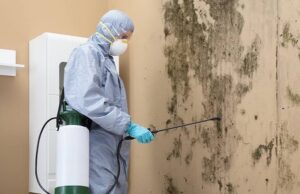What Is the Best Way to Remove Mold From a Home? 1 What Is the Best Way to Remove Mold From a Home?